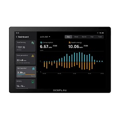 Монитор EcoFlow PowerInsight
