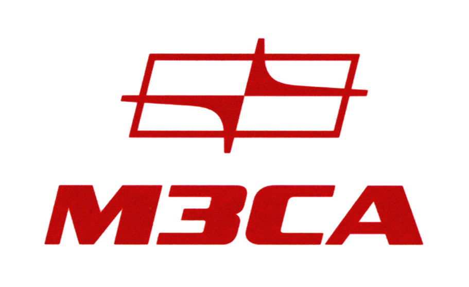 МЗСА