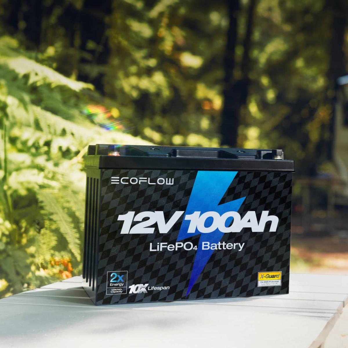 Тяговый аккумулятор EcoFlow 12 В 100 Ач LiFePO4 литиевый