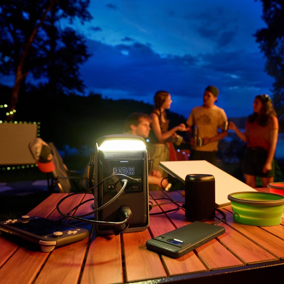 Портативная зарядная станция EcoFlow TRAIL Plus 300 DC (288 Втч)