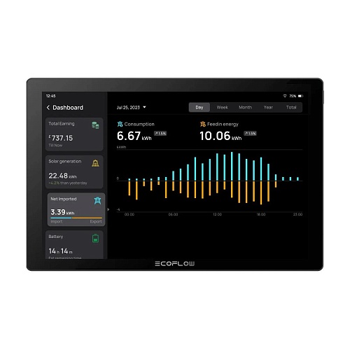 Монитор EcoFlow PowerInsight
